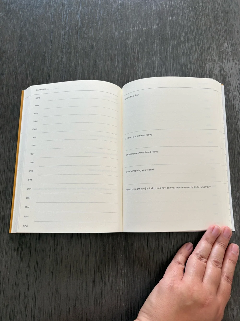 Poketo Quarterly Goal Planner - New!
